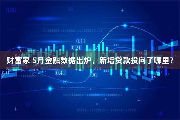 财富家 5月金融数据出炉，新增贷款投向了哪里？