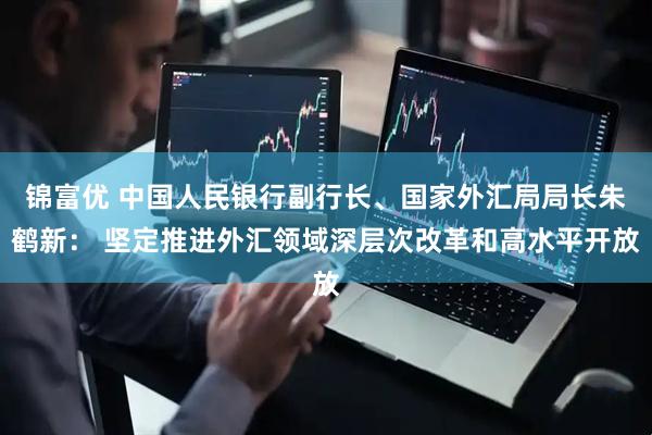 锦富优 中国人民银行副行长、国家外汇局局长朱鹤新： 坚定推进外汇领域深层次改革和高水平开放