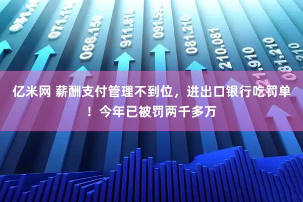 亿米网 薪酬支付管理不到位，进出口银行吃罚单！今年已被罚两千多万